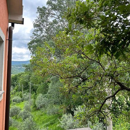 Ai 2 Olmi - Monolocali Nel Verde Múggia Exterior foto