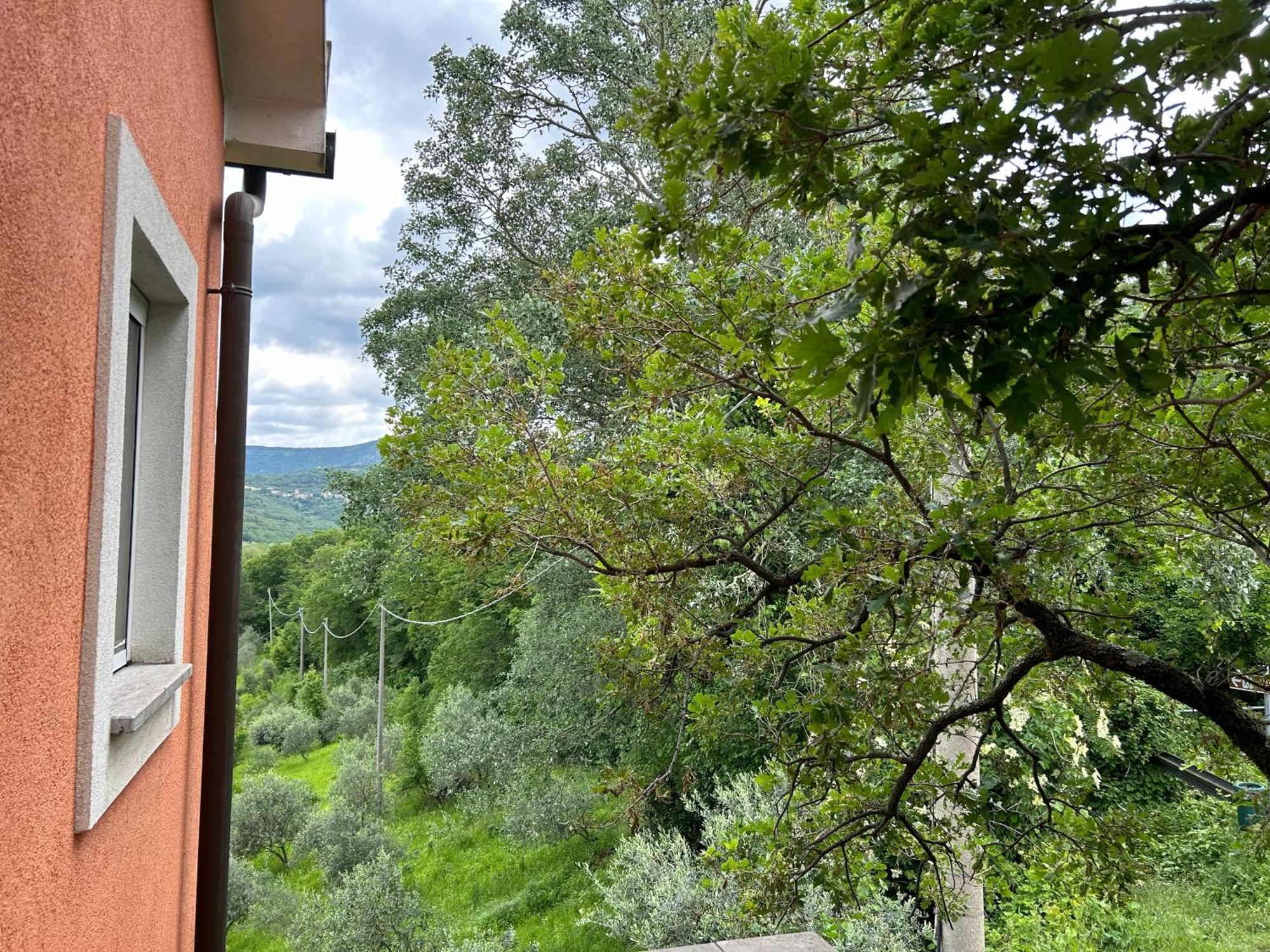 Ai 2 Olmi - Monolocali Nel Verde Múggia Exterior foto